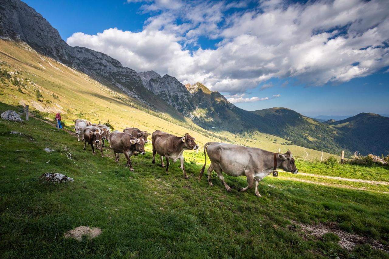 Nebesa Chalets Kobarid Zewnętrze zdjęcie